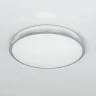 Светильник потолочный Citilux Луна CL702221N