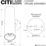 Настенный светильник Citilux Axel CL512323R