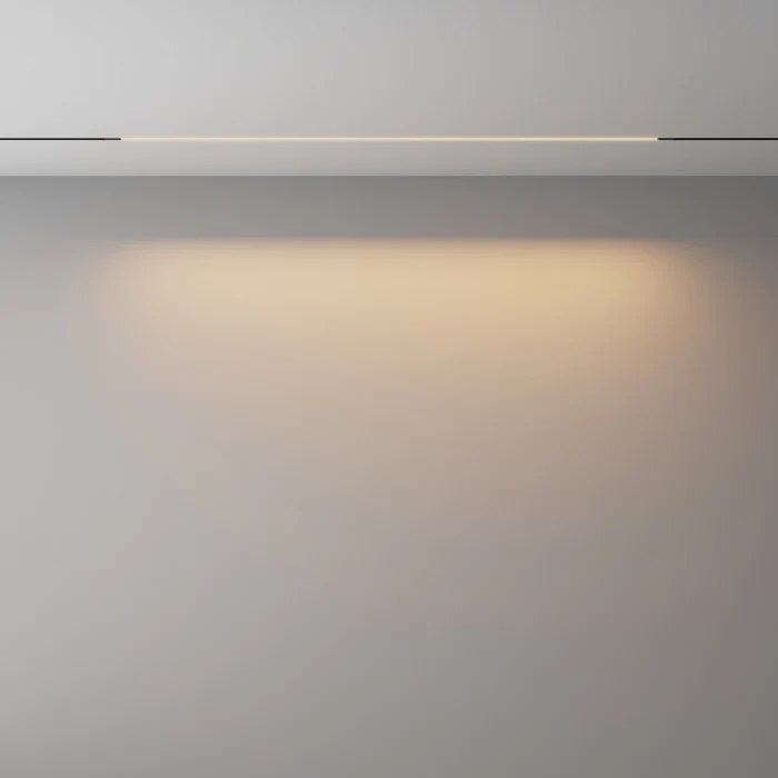 Трековый магнитный светильник Maytoni Technical Basis Exility X TR240-2-18W3K-B