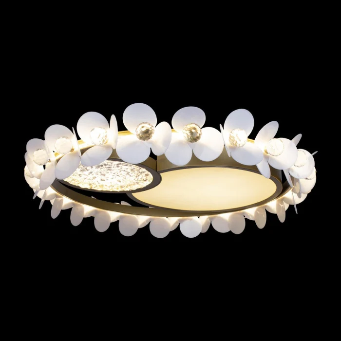 Потолочный светильник LOFT IT 10174