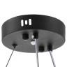 Подвесной светильник Rotonda Lightstar 736407