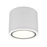 Потолочный светильник Maytoni Rendo C095CL-GX53-W