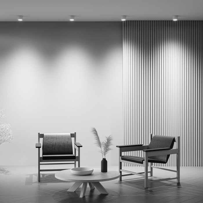 Потолочный светильник Maytoni Rendo C095CL-GX53-W