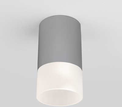 Уличный потолочный светильник Elektrostandard Light led 4690389177934