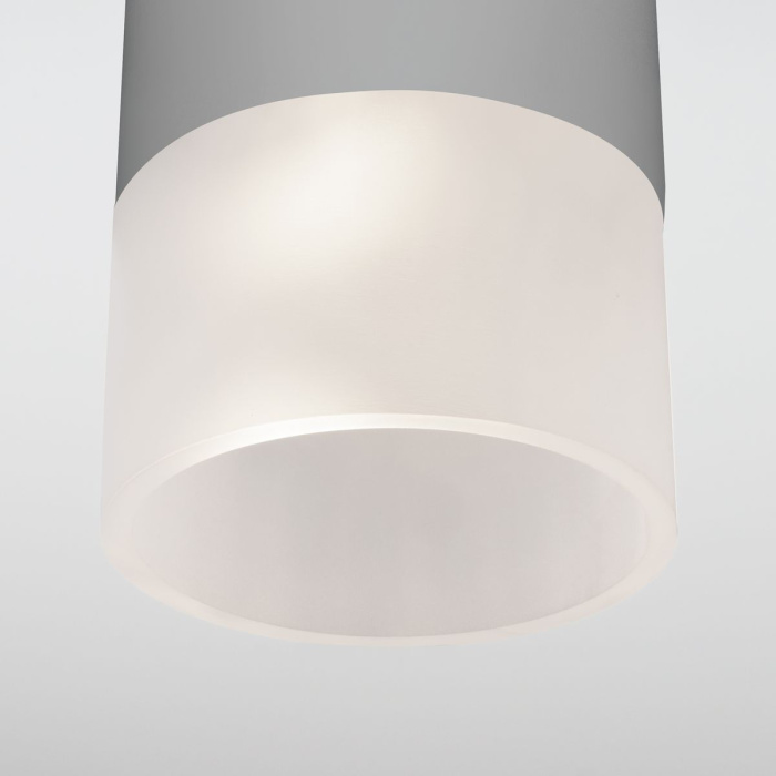Уличный потолочный светильник Elektrostandard Light led 4690389177934