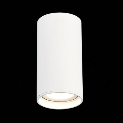 Светильник потолочный Белый LED 1*15W 4000K 1 200Lm Ra&gt;90 60° IP44 D75xH140 220-265V ST157.542.15