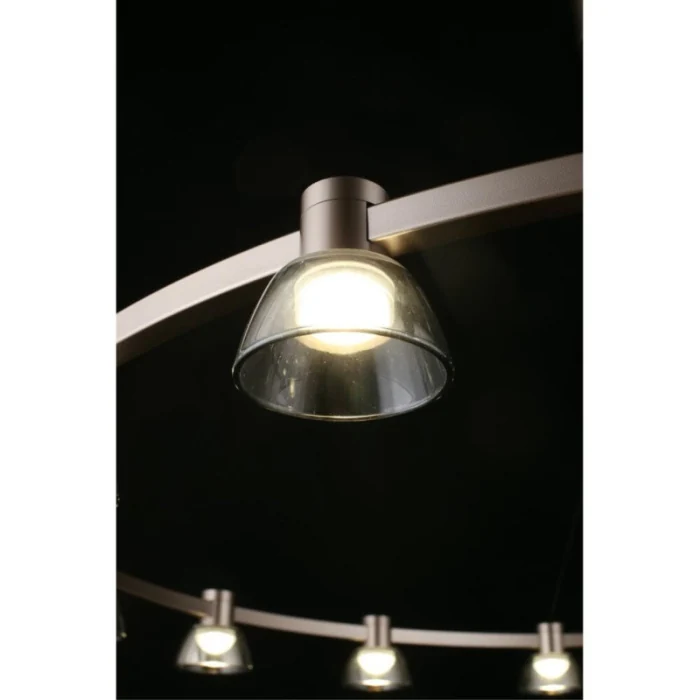 Люстра подвесная Aployt Rezeda APL.788.03.15