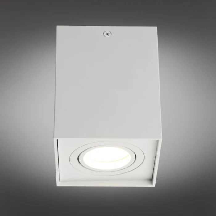 Светильник накладной Omnilux Feletto OML-101109-01