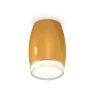 Комплект накладного светильника с акрилом Ambrella light XS1125021