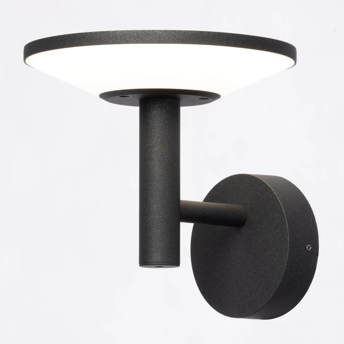 Уличный настенный светильник Citilux Dorn CLU05W