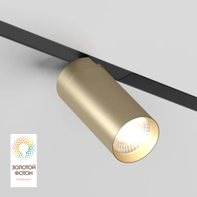 Светильник на шине Denkirs SMART SPOT DK8010-BG