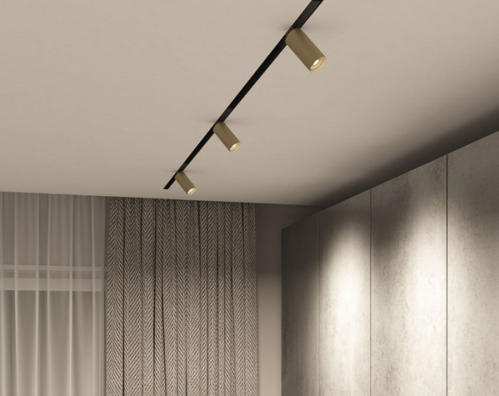 Светильник на шине Denkirs SMART SPOT DK8010-BG