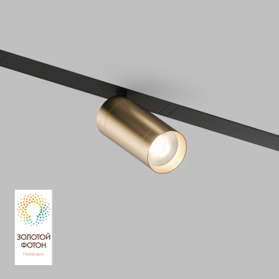 Светильник на шине Denkirs SMART SPOT DK8010-BG