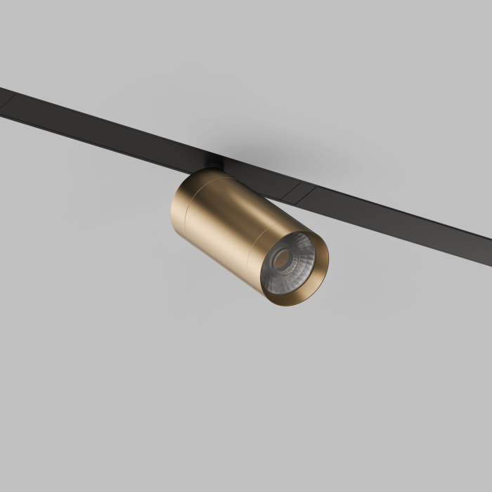 Светильник на шине Denkirs SMART SPOT DK8010-BG