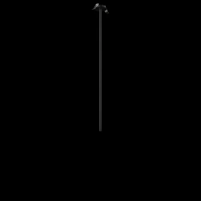 Потолочный светильник Loft it Cane 10359/800 Black