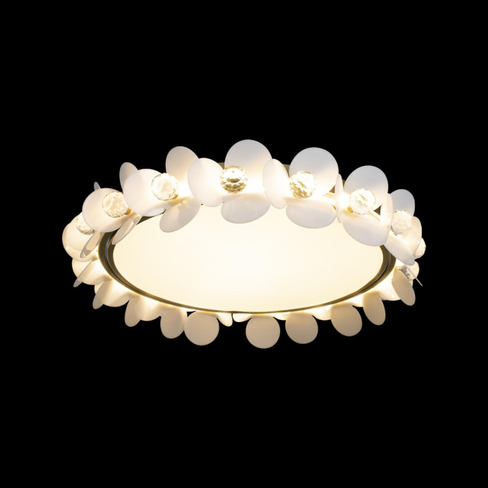 Потолочный светильник LOFT IT 10175