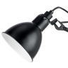 Настольная лампа LOFT LIGHTSTAR 765917