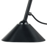 Настольная лампа LOFT LIGHTSTAR 765917