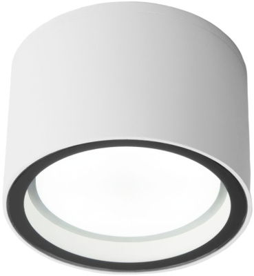 Уличный потолочный светильник Elektrostandard Light 4690389180828