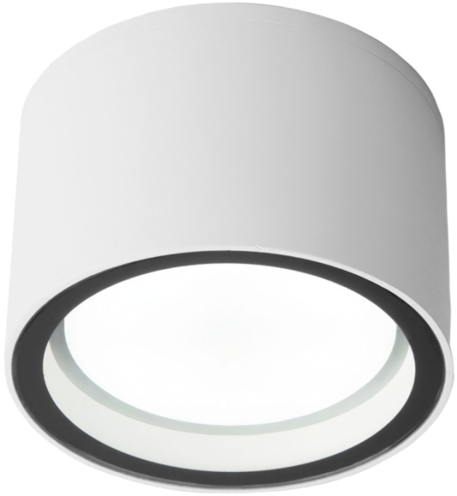 Уличный потолочный светильник Elektrostandard Light 4690389180828