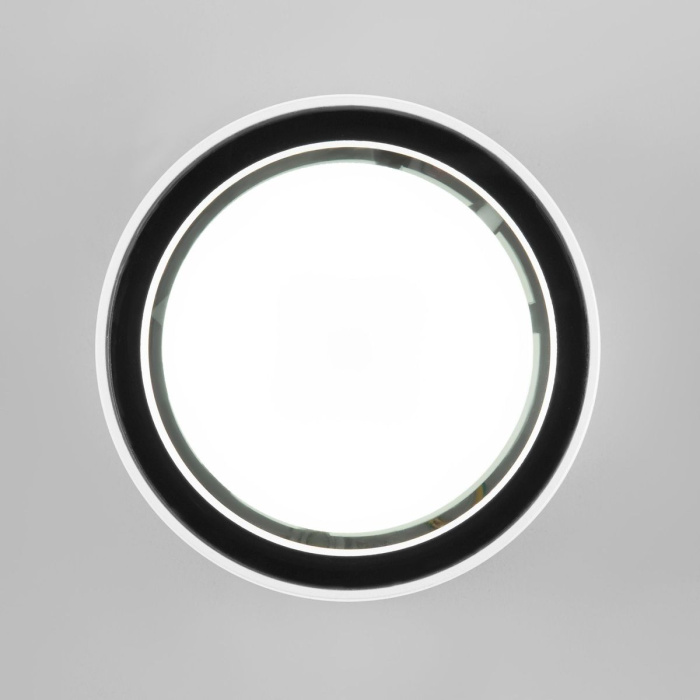 Уличный потолочный светильник Elektrostandard Light 4690389180828