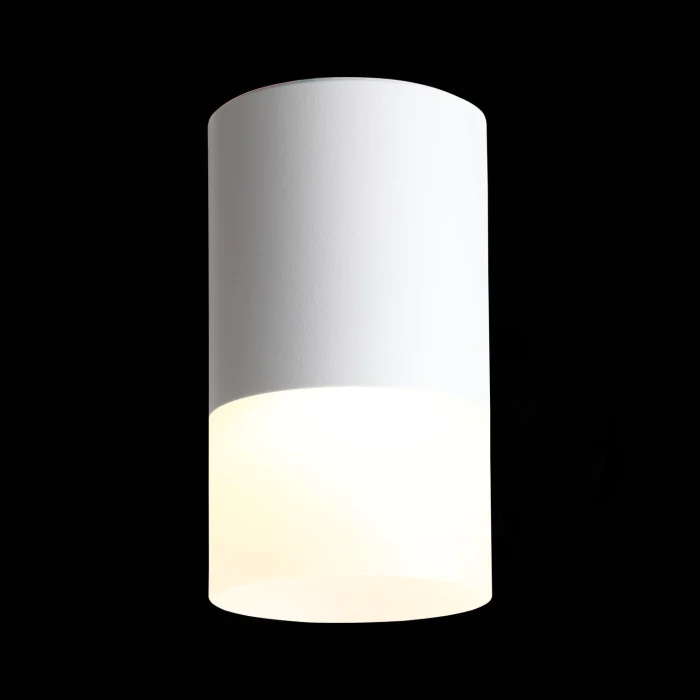 Светильник потолочный Белый LED 1*5W 3000K 390Lm Ra>80 120° D64xH110 170-240V ST100.502.05