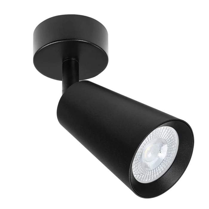 Светильник точечный накладной со сменной лампой Arte Lamp CINTURA A2352PL-1BK