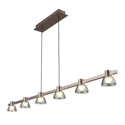 Люстра подвесная Aployt Rezeda APL.788.03.06