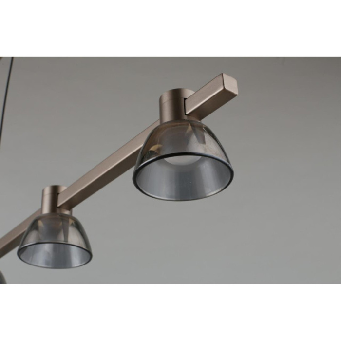 Люстра подвесная Aployt Rezeda APL.788.03.06