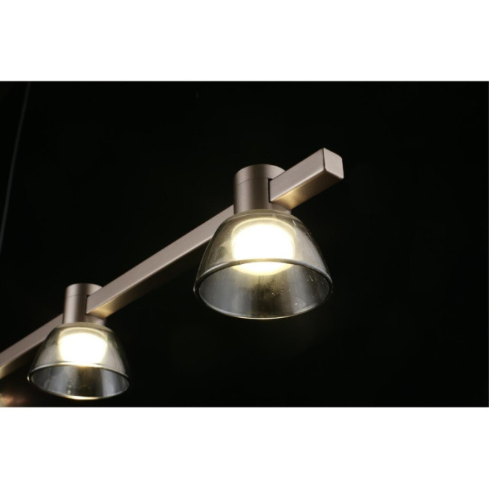 Люстра подвесная Aployt Rezeda APL.788.03.06