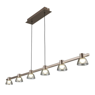 Подвесная люстра Aployt Rezeda APL.788.03.06