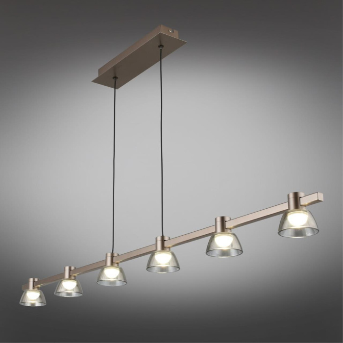 Подвесная люстра Aployt Rezeda APL.788.03.06