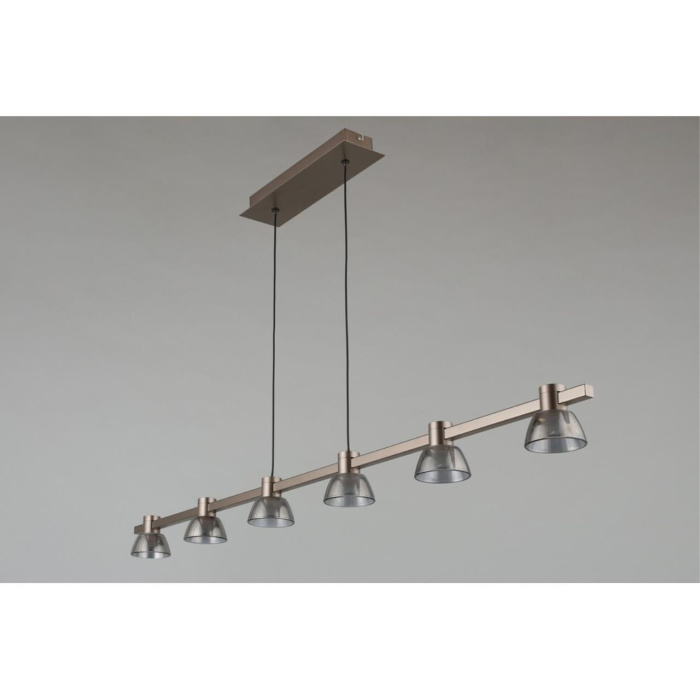 Подвесная люстра Aployt Rezeda APL.788.03.06