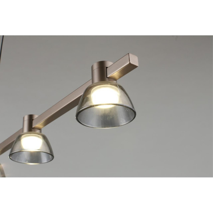 Подвесная люстра Aployt Rezeda APL.788.03.06