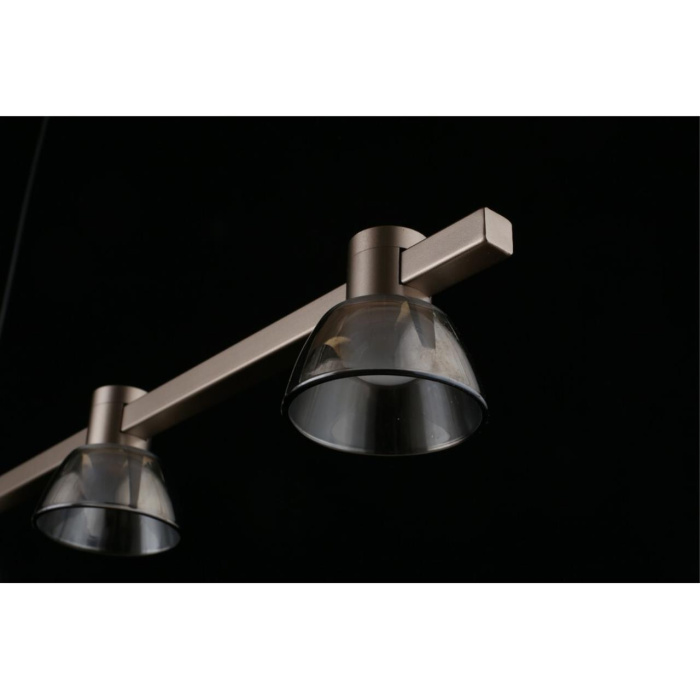 Подвесная люстра Aployt Rezeda APL.788.03.06