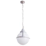 Уличный подвесной светильник Arte Lamp MONACO A1495SO-1WG