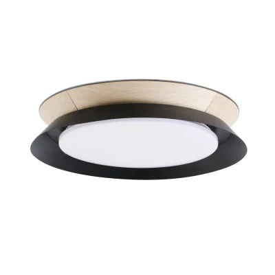 Потолочный светильник TENDER LED ceiling lamp