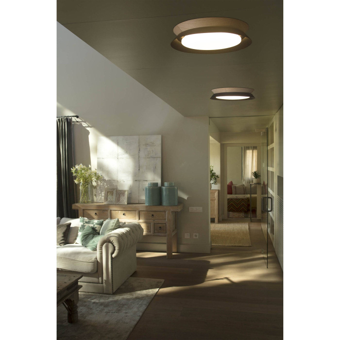 Потолочный светильник TENDER LED ceiling lamp