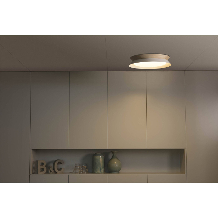 Потолочный светильник TENDER LED ceiling lamp