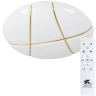 Потолочный светодиодный светильник Arte Lamp Biscotti A2677PL-72GO