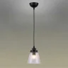 Светильник подвесной Omnilux Borgo OML-51006-01
