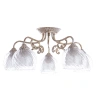 Потолочная люстра Arte Lamp A7062PL-5WG