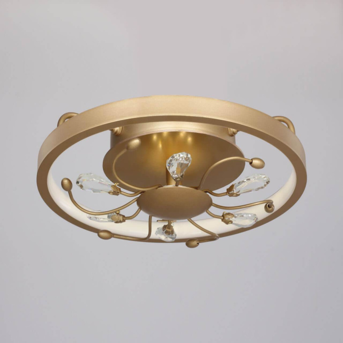 Потолочный светодиодный светильник Favourite Waltz 2534-2C