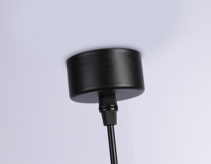 Светильник подвесной со сменной лампой Ambrella light TN71109