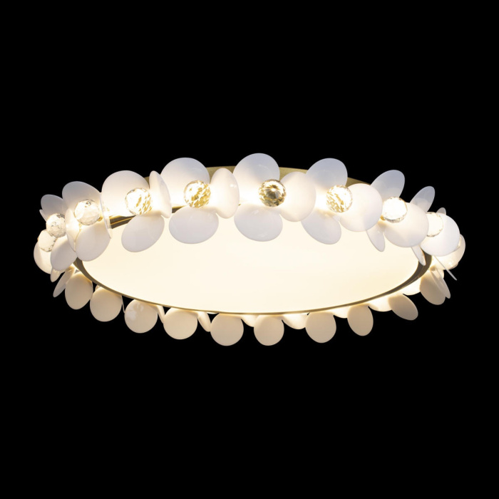 Потолочный светильник LOFT IT 10176