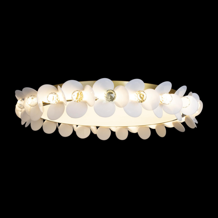 Потолочный светильник LOFT IT 10176