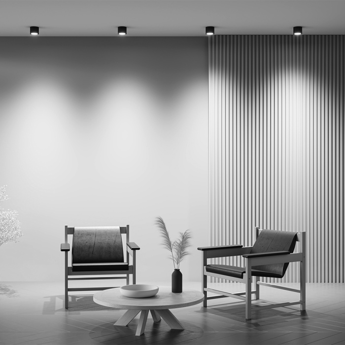 Потолочный светильник Maytoni Rendo C095CL-GX53-B