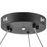 Люстра подвесная Rotonda Lightstar 736417