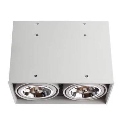 Светильник Arte Lamp CARDANI GRANDE A5936PL-2WH