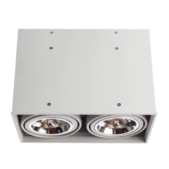 Накладной светильник Arte Lamp CARDANI GRANDE A5936PL-2WH